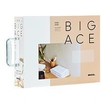 BIGACE