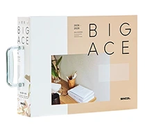 BIGACE