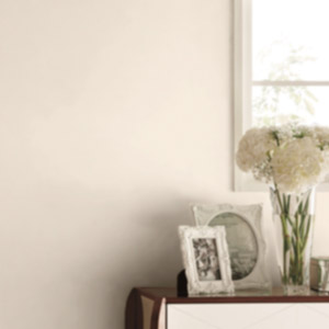 Bl5617 Big Ace シンコール