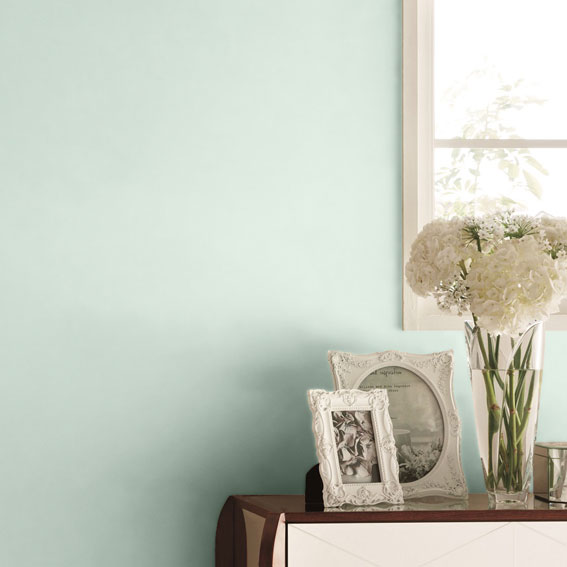 シンコール Bl9927 21 Best