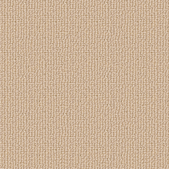 シンコール | ER8150 | スペイシー2021-2023