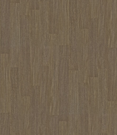 SBK9801.jpg