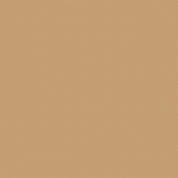 SINCOL TA5443 SB-9011エコ カーテン 2枚セットタッセル付き