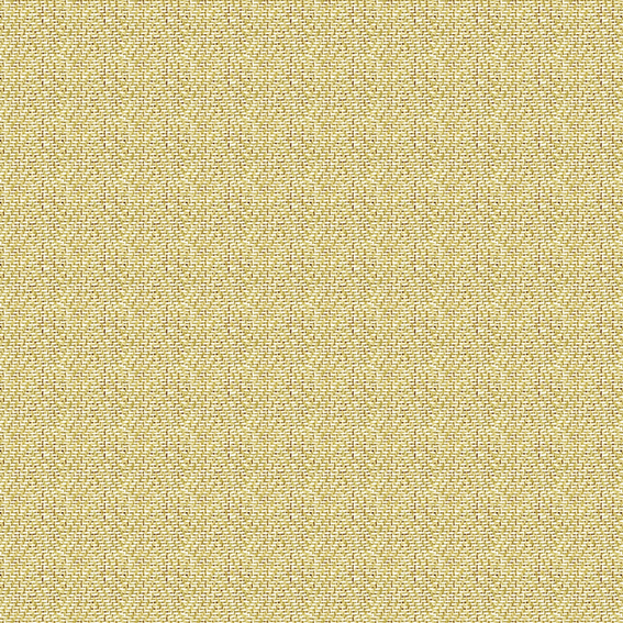 シンコール | AZ8058 | 2025 abita