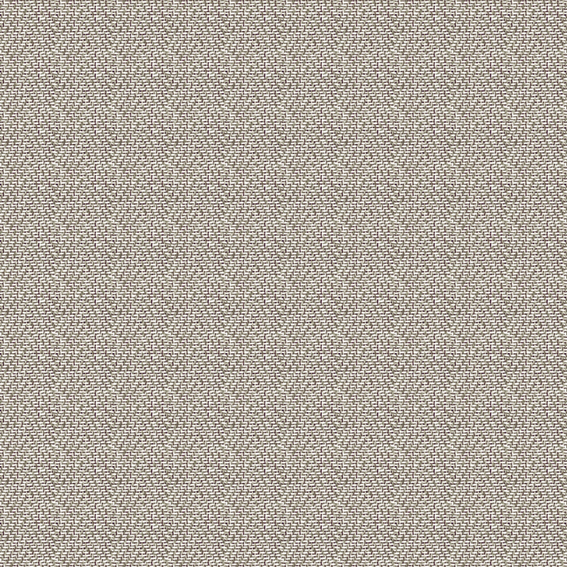 シンコール | AZ8059 | 2025 abita