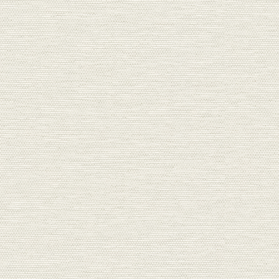 ＡＭ AM-508E コンプレッサーアンプ内蔵卓上マイクロホン (AM508E) | CQオーム