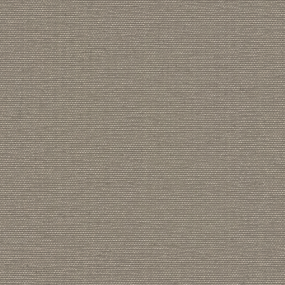 シンコール | AZ8064 | 2025 abita