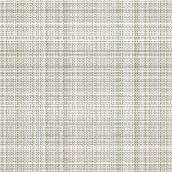 シンコール | AZ8065 | 2025 abita