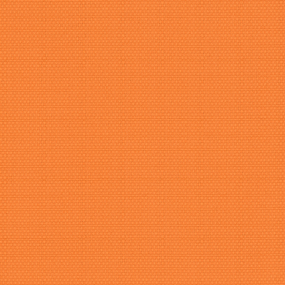 シンコール | AZ8072 | 2025 abita