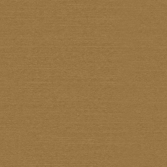 シンコール | AZ8079 | 2025 abita