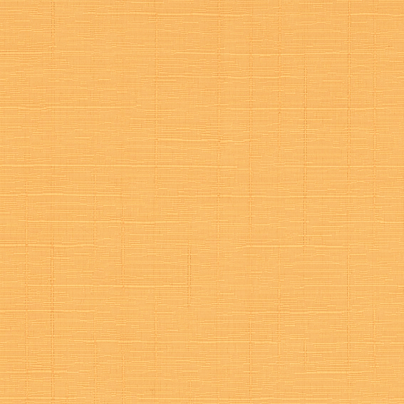 シンコール | AZ8111 | 2025 abita