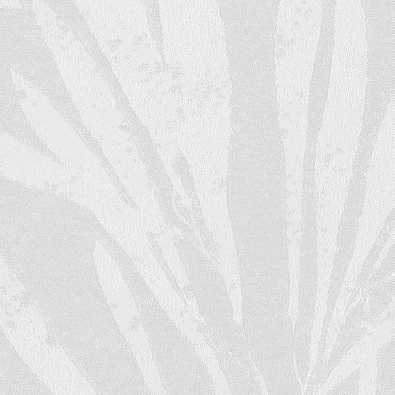 シンコール | AZ8195 | 2025 abita