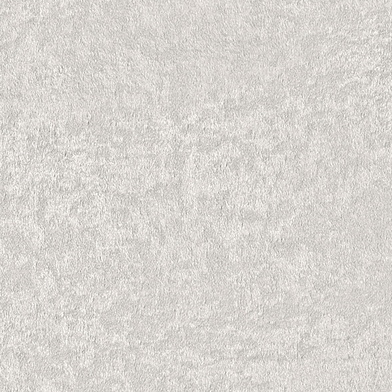 シンコール | AZ8319 | 2025 abita