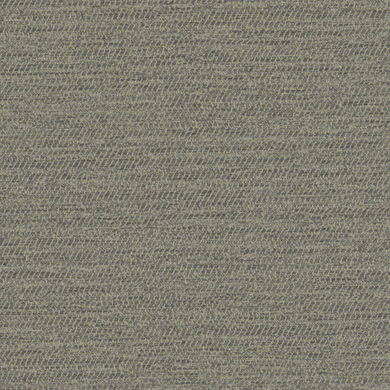 シンコール | AZ8335 | 2025 abita