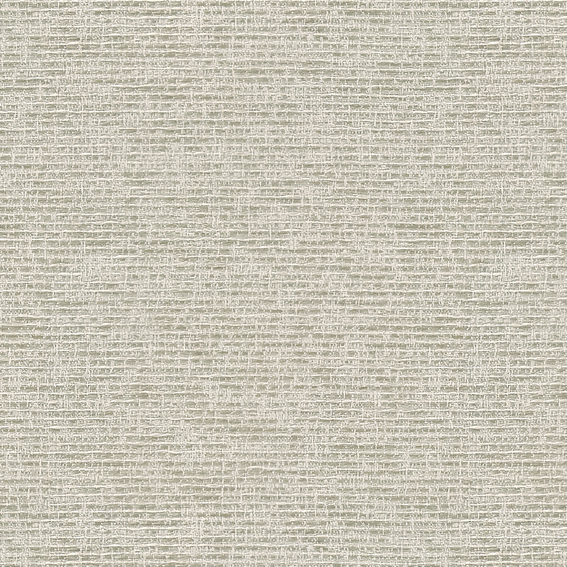 シンコール | AZ8338 | 2025 abita
