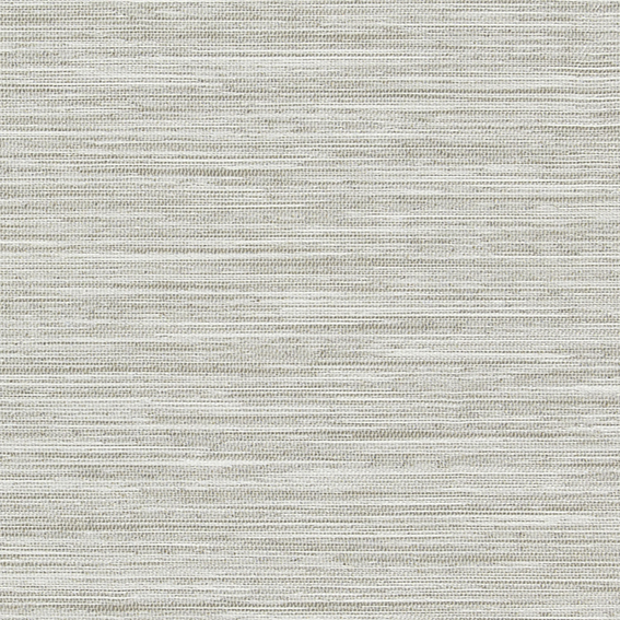 シンコール | AZ8343 | 2025 abita