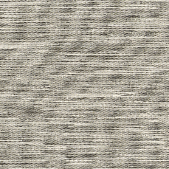 シンコール | AZ8344 | 2025 abita