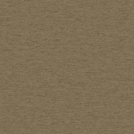 シンコール | AZ8351 | 2025 abita