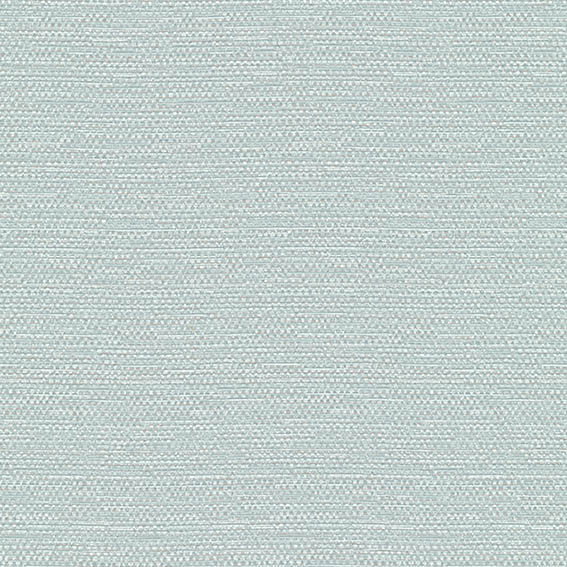 シンコール | AZ8051 | 2025 abita