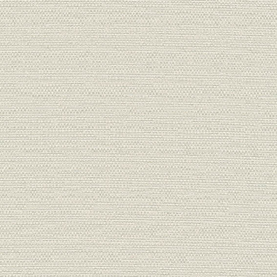 シンコール | AZ8054 | 2025 abita