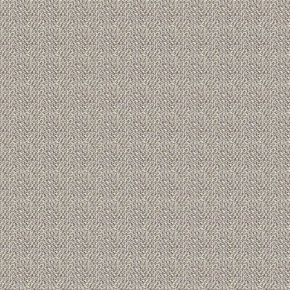 シンコール | AZ8059 | 2025 abita