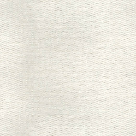 シンコール | AZ8063 | 2025 abita