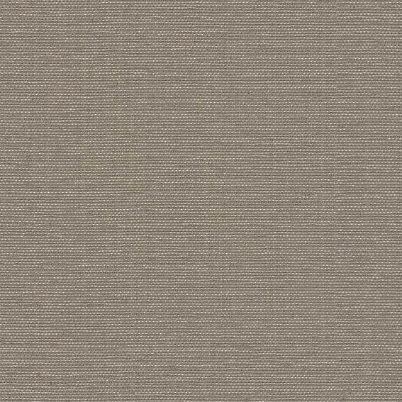 ジン シンコール | AZ8064 | 2025 abita