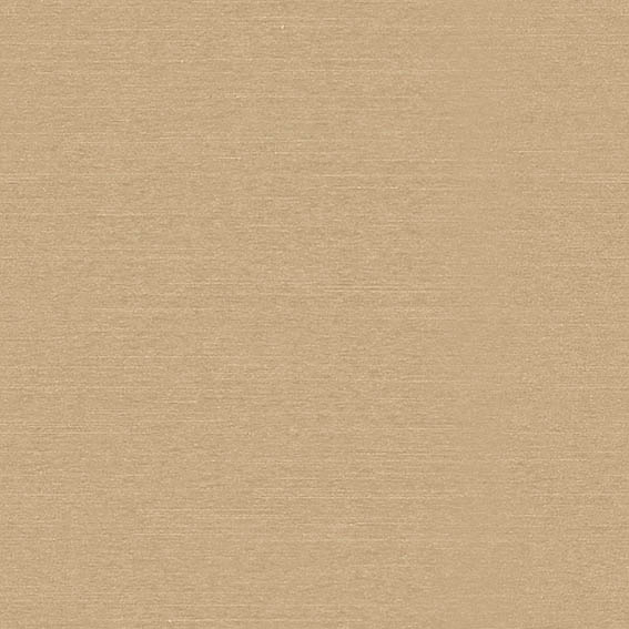 シンコール | AZ8077 | 2025 abita