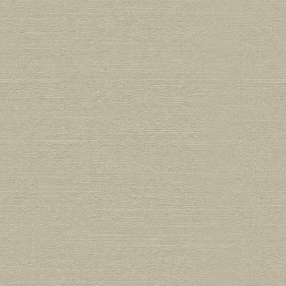 シンコール | AZ8083 | 2025 abita