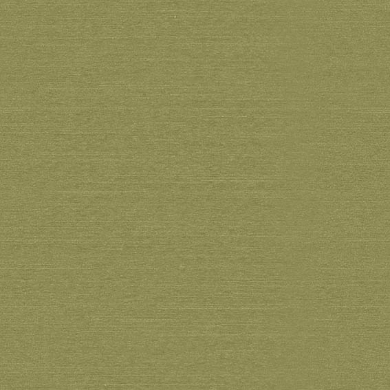 シンコール | AZ8092 | 2025 abita