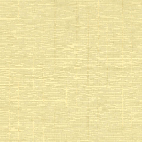 シンコール | AZ8108 | 2025 abita