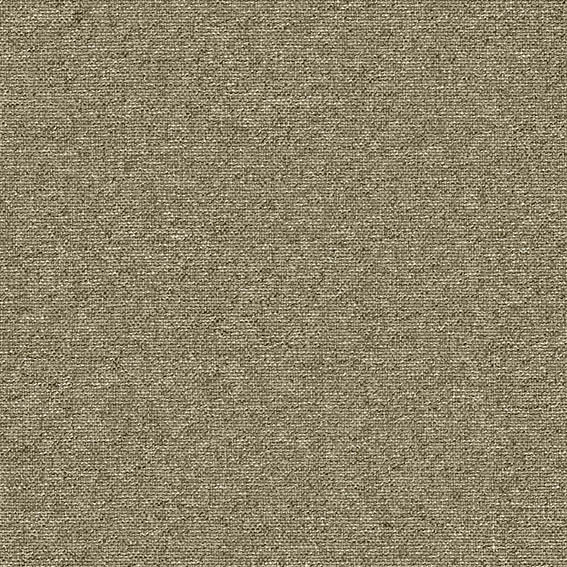 シンコール | AZ8323 | 2025 abita