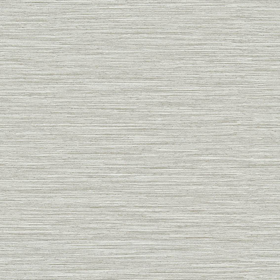 シンコール | AZ8343 | 2025 abita