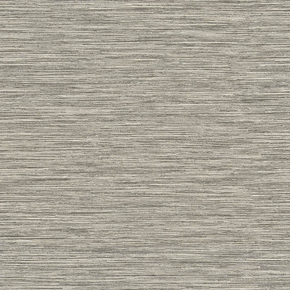 シンコール | AZ8344 | 2025 abita