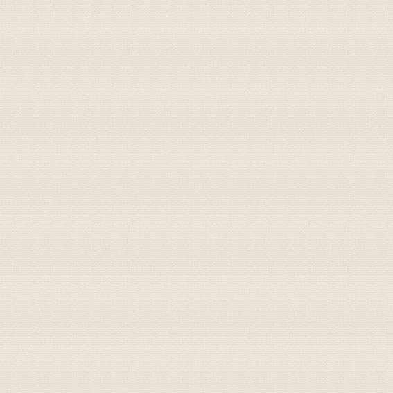 Japan Technology Singular シンギュラー A300合金 シンコール | AZ8600 | 2025 abita