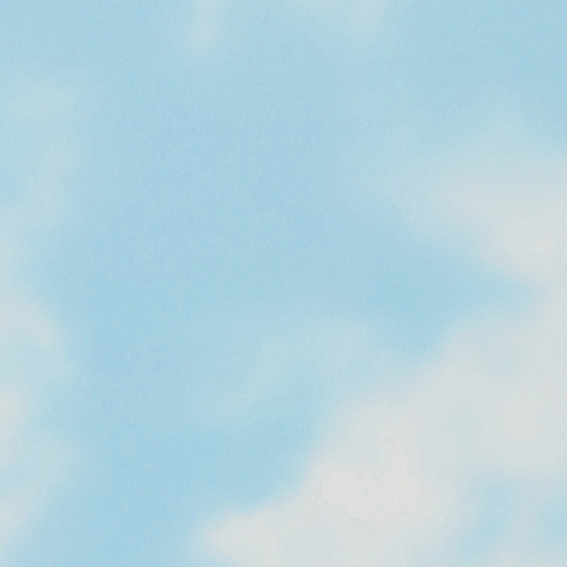 シンコール | BB2686 | 2025 BEST