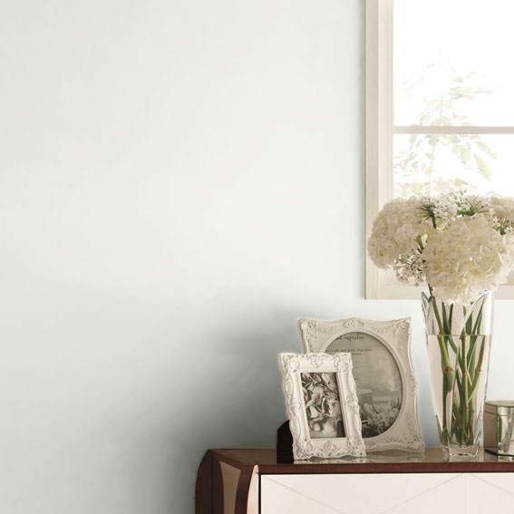 シンコール | BL2921 | 2025 BEST