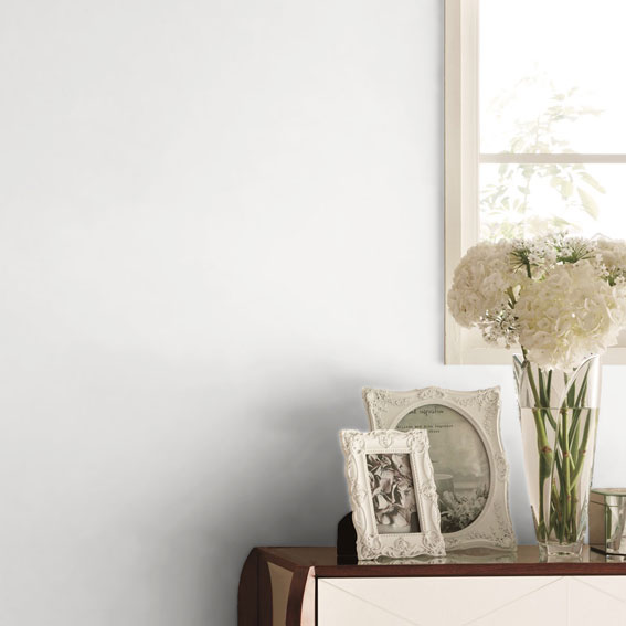 白晶防壁rv シークレット　フレミア版　フルアート 白晶防壁 リバイバル シークレット フレミア 2025/12)(SECRET)白