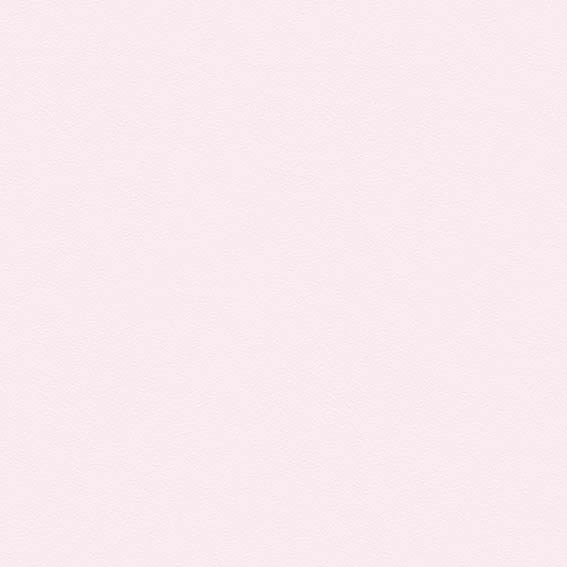 シンコール | BL2925 | 2025 BEST