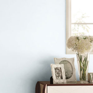 シンコール | BL2927 | 2025 BEST