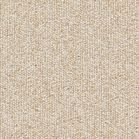 シンコール | PIN573 | スクエアプロ2025-2028