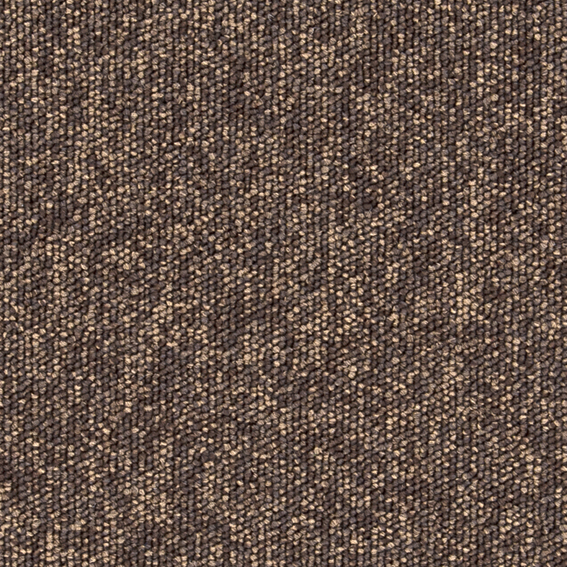 シンコール | PIN584 | スクエアプロ2025-2028