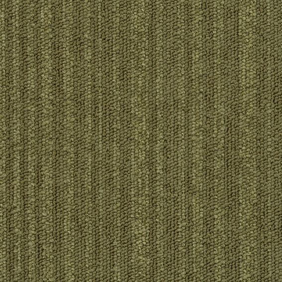 シンコール | TES1203 | スクエアプロ2025-2028