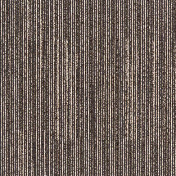 シンコール | CNY704 | スクエアプロ2025-2028