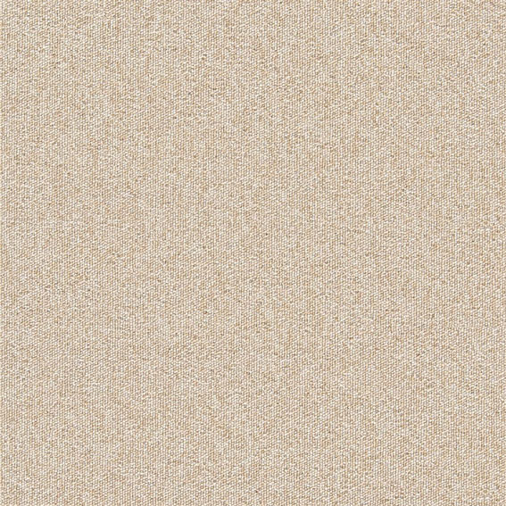 ジン シンコール | PIN573 | スクエアプロ2025-2028