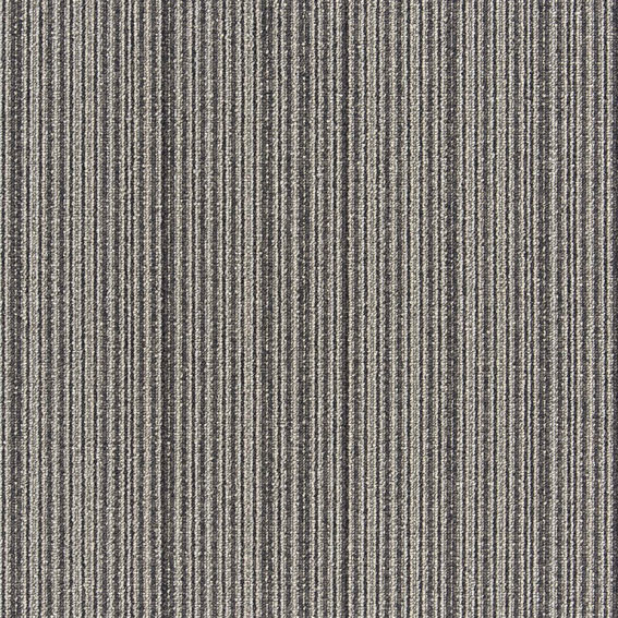 シンコール | PIU441 | スクエアプロ2025-2028