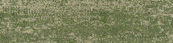 シンコール | PIW171 | スクエアプロ2025-2028