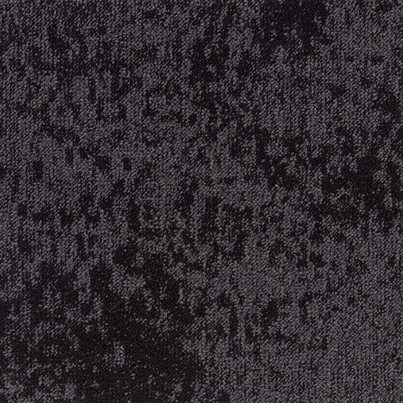 2023 センイルMD （SAN） シンコール | SNT672 | スクエアプロ2025-2028