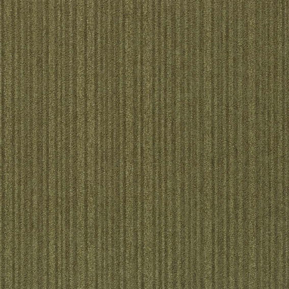 金糸雀ページ シンコール | TES1203 | スクエアプロ2025-2028