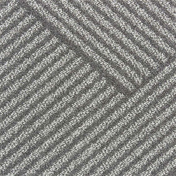 信州産長野パープルふた房・隙間にセイブル お部屋て楽しむ栽培セット